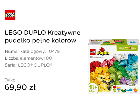 LEGO DUPLO 10479 Kreatywne pudełko pełne kolorów