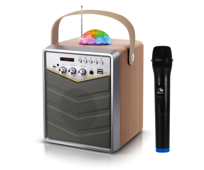 Power Audio MusicMate MM-SK100 Apex Flex