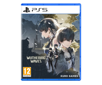 Gra na PlayStation 5 PlayStation WUTHERING WAVES PS5 DELUXE COLLECTION