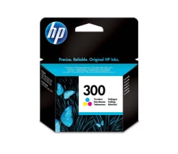 Tusz do drukarki HP 300 color 165str.