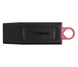 Pendrive (pamięć USB) Kingston 256GB DataTraveler Exodia (USB 3.2 Gen 1)