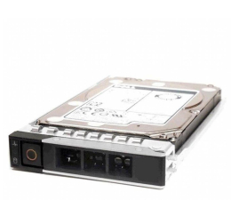 Dysk serwerowy Dell 8TB 7.2K RPM NLSAS 12Gbps 512n 3.5in Hot-Plug
