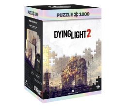 Puzzle z gier Good Loot Dying light 2: Arch Puzzles 1000