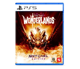 Gra na PlayStation 5 PlayStation Tiny Tina's Wonderlands Next-Level Edition