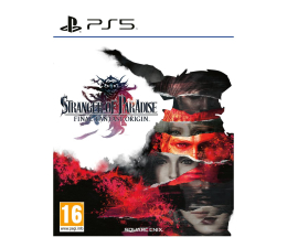 Gra na PlayStation 5 PlayStation Stranger of Paradise Final Fantasy Origin