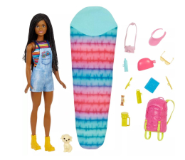 Lalka i akcesoria Barbie Malibu Brooklyn Zestaw Kemping + akcesoria