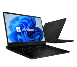 Notebook / Laptop 17,3" MSI GP76 i7-11800H/16GB/512/Win11X RTX3070 144Hz