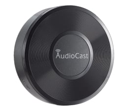 Odtwarzacz CD / sieciowy IEAST Audiocast M5
