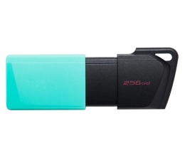 Pendrive (pamięć USB) Kingston 256GB DataTraveler Exodia M USB 3.2 Gen 1