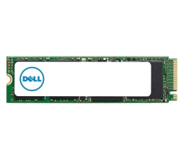 Dysk serwerowy Dell M.2 PCIe NVME Class 40 2280 SSD 1TB