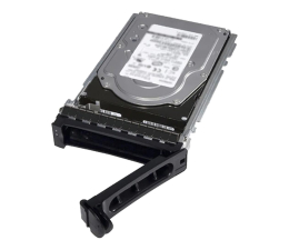 Dysk serwerowy Dell 4TB 7.2K RPM SATA 6Gbps 512n 3.5in Hot-plug Hard Drive, CusK