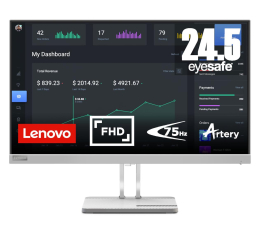 Monitor LED 24" Lenovo L25e-40