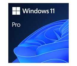 System operacyjny Microsoft Windows 11 Pro OEM DVD PL