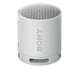 Głośnik przenośny Sony SRS-XB100 Szary