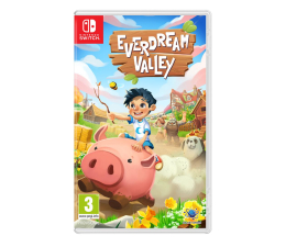 Gra na Switch Switch Everdream Valley