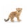 Schleich Młody Gepard - 455074 - zdjęcie 1