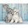 Clementoni Puzzle HQ  Cat&Bunny - 417062 - zdjęcie 2