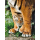 Clementoni Puzzle HQ Bengal Tiger Cub Between Its Mother'S Legs - 417078 - zdjęcie 2