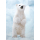 Clementoni Puzzle WWF Baby Polar Bear - 417279 - zdjęcie 2