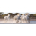 Clementoni Puzzle Panorama HQ Running Horses - 417228 - zdjęcie 2
