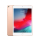 Apple iPad mini 64GB LTE Gold - 486989 - zdjęcie 1