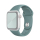 Apple Pasek Sportowy do Apple Watch kaktusowy - 553827 - zdjęcie 1