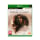 Xbox The Dark Pictures - House of Ashes - 661933 - zdjęcie