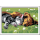 Ravensburger CreArt dla dzieci: Śpiący kotek z pieskiem - 1027080 - zdjęcie 2