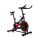 Rower stacjonarny HERTZ Rower spinningowy XR-110 Pro