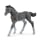Schleich Źrebię rasy trakeńskiej Horse Club - 1086023 - zdjęcie 1