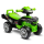 Toyz Jeździk Mini Raptor Green - 458309 - zdjęcie 1