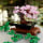 LEGO Icons 10281 Drzewko bonsai - 1012696 - zdjęcie 4