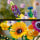 LEGO Icons 10313 Bukiet z polnych kwiatów - 1091352 - zdjęcie 5