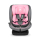Lionelo Bastiaan i-Size Pink Baby - 1184634 - zdjęcie 3