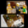 LEGO Icons 10326 Muzeum Historii Naturalnej - 1202301 - zdjęcie 10