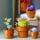 LEGO Icons 10329 Małe roślinki - 1202090 - zdjęcie 6