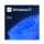 System operacyjny Microsoft Windows 11 Pro OEM DVD PL
