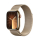 Smartwatch LTE Apple Watch 9 41/Gold Steel/Gold Milanese Loop LTE