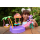 Mattel Enchantimals Tropikalny basen + Lalka małpka - 1212857 - zdjęcie 6