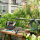Gardena City Gardening - Balkonowy zestaw narzędzi ogrodniczych - 1214263 - zdjęcie 2