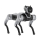 Magiclab Magicdog Edu - 1470907 - zdjęcie 2