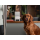 Petcube Inteligentna kamera z podajnikiem Bites 2 Lite - 1308537 - zdjęcie 4