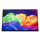 Monitor LED 22" i mniejszy Acer ProDesigner PE160WSMIUUX