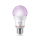 Philips Smart żarówka 60W A60 E27 2 szt. + Pilot - 1541405 - zdjęcie 3