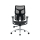 Sihoo DORO S100 Mesh czarny - 1542250 - zdjęcie
