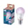 Inteligentna żarówka Philips Inteligentna Żarówka LED E27 RGB A60 100W 1521lm 2200-6500K