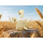 realme Buds Air 8 Master Gold - 1544915 - zdjęcie 6