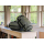 WANDRD CARRYALL Duffel 30L Wasatch Green - 1550135 - zdjęcie 8
