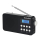 TechniSat CLASSIC 110 - 1550689 - zdjęcie