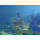 Switch Minecraft - 1583143 - zdjęcie 3